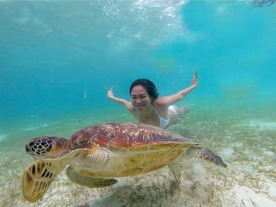 Tauig Beach Resort Moalboal Luaran gambar