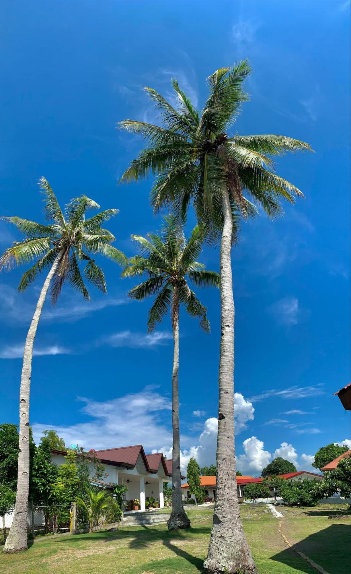 Tauig Beach Resort Moalboal Luaran gambar